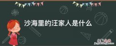 沙海里的汪家人是什么 沙海里的汪家人是什么来头