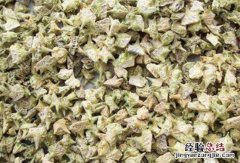 蒺藜的作用与功效与作用是什么 蒺藜的功效与作用，蒺藜的副作用