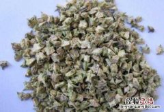 女人喝蒺藜的好处与功效是什么 女人喝蒺藜的好处与功效