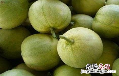 怎样防止甜瓜发苦发涩 怎样防止甜瓜发苦