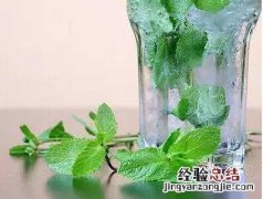 薄荷叶泡水的功效是什么呢 泡薄荷叶水有什么功效