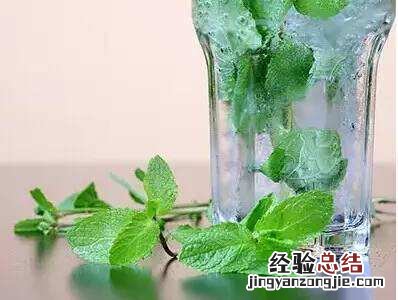 薄荷叶泡水的功效是什么呢 泡薄荷叶水有什么功效