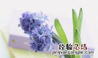 什么网名好听又有内涵 什么网名好听