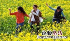 清明节放假去哪里 清明节放假去哪里玩合适