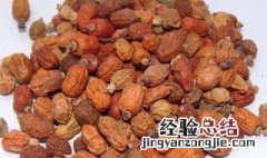 红蔻的正确使用方法 红豆蔻怎么用