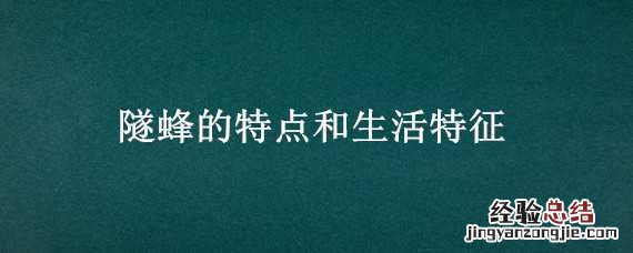 昆虫记隧蜂的特点和生活特征 隧蜂的特点和生活特征