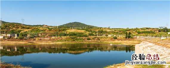 农村鱼塘怎么建 农村鱼塘怎么建好