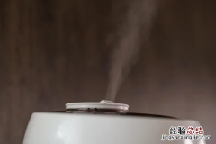 使用加湿器的弊端 使用加湿器的利与弊有哪些