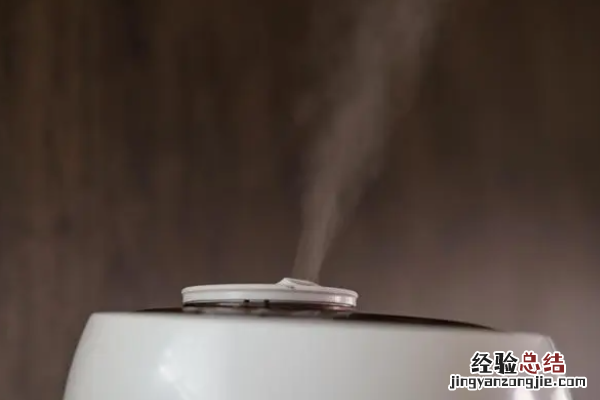 使用加湿器的弊端 使用加湿器的利与弊有哪些