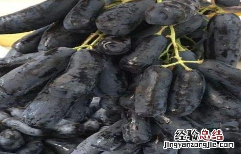 蓝宝石葡萄各时期管理要点 蓝宝石葡萄各时期管理要点有哪些