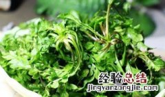 吃荠菜的禁忌是什么呢 吃荠菜的禁忌
