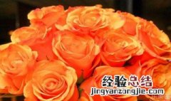 橙色玫瑰的含义是什么 橙色玫瑰的含义