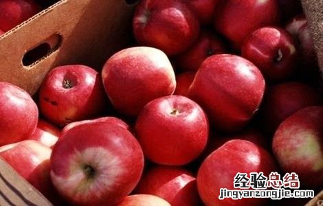 苹果的采收与储存方法 苹果的采收与储存