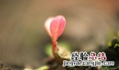 眼见为实,耳听为虚,什么意思? 耳闻是虚眼观为实是什么意思