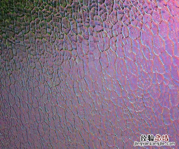 什么是彩晶玻璃 什么是彩晶玻璃面板