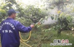 果树夏季喷药注意事项有哪些 果树夏季喷药注意事项