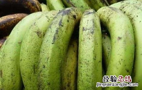 香蕉水烂是什么原因 香蕉水烂原因及预防方法