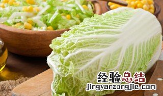 川味大白菜的做法大全 正宗川味凉拌大白菜的做法