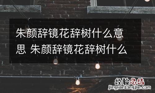 朱颜辞镜花辞树什么意思 朱颜辞镜花辞树什么意思,唯美图片