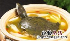将军甲鱼好吃吗 甲鱼好吃吗