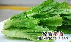 竹芥种植方法 竹芥种植方法和技术