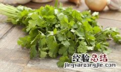 不喜欢吃香菜的原因 不喜欢吃香菜的原因是什么呢