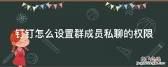 钉钉群如何设置权限 钉钉怎么设置群成员私聊的权限