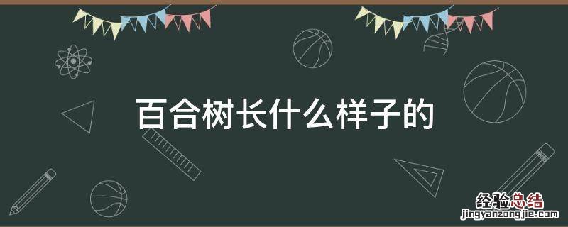 百合树长什么样子的 百合是树上长的吗