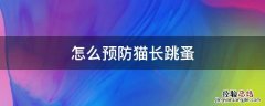 怎么预防猫长跳蚤 怎么防止猫长跳蚤