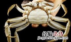 蒸螃蟹蘸料怎么做 蒸螃蟹蘸料怎么做才好吃