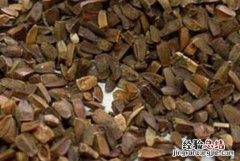 茺蔚子的功效与作用，茺蔚子的副作用与禁忌有哪些