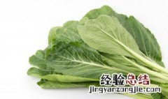 芥菜开水烫简单做法 芥菜不焯水可以直接炒来吃吗