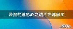 漆黑的魅影哪里可以买心之鳞 漆黑的魅影心之鳞片在哪里买