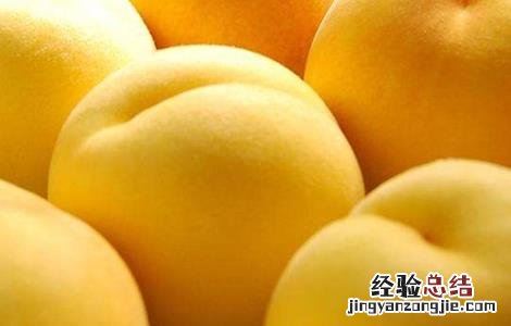 黄桃种植技术与管理课件 黄桃种植技术