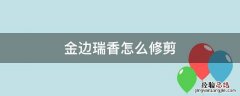 金边瑞香怎么修剪图片 金边瑞香怎么修剪