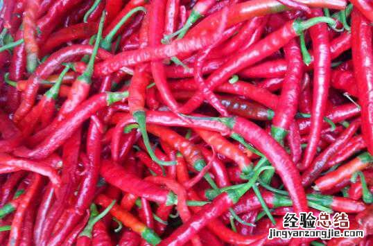 子弹头辣椒和二荆条的区别 子弹头辣椒与二荆条哪个辣