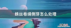 蛛丝卷绢侧芽繁殖图解 蛛丝卷绢侧芽怎么处理