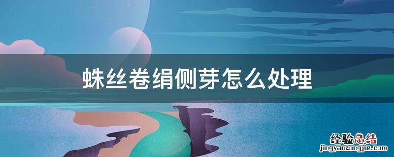 蛛丝卷绢侧芽繁殖图解 蛛丝卷绢侧芽怎么处理