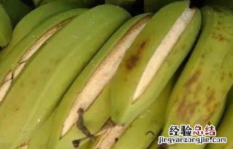香蕉裂果的预防措施 香蕉裂果原因