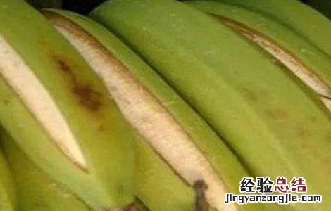 香蕉裂果的预防措施 香蕉裂果原因