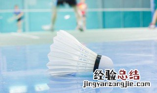 关于羽毛球的句子简短 关于羽毛球的句子