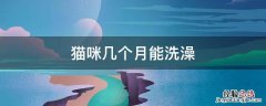 猫咪几个月能洗澡 猫咪几个月能洗澡打疫苗