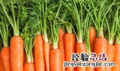 胡萝卜叶子怎么吃