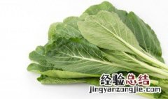 新鲜芥菜叶子怎么吃才好吃 新鲜芥菜叶子怎么吃
