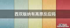 西双版纳有高原反应吗 西双版纳在高原吗