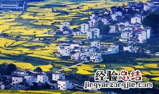 清明节去哪里踏青比较好 清明节去哪里踏青