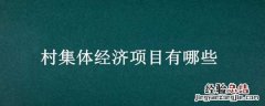 村集体经济项目有哪些 村集体经济项目简介