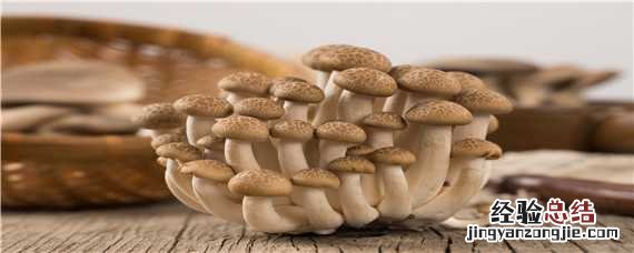 菌棒怎么养出蘑菇来 平菇菌棒怎么养出蘑菇来