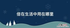 倍在生活中用在哪里PPT 倍在生活中用在哪里
