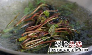 烫过的香椿怎么做 烫过的香椿怎么做咸菜